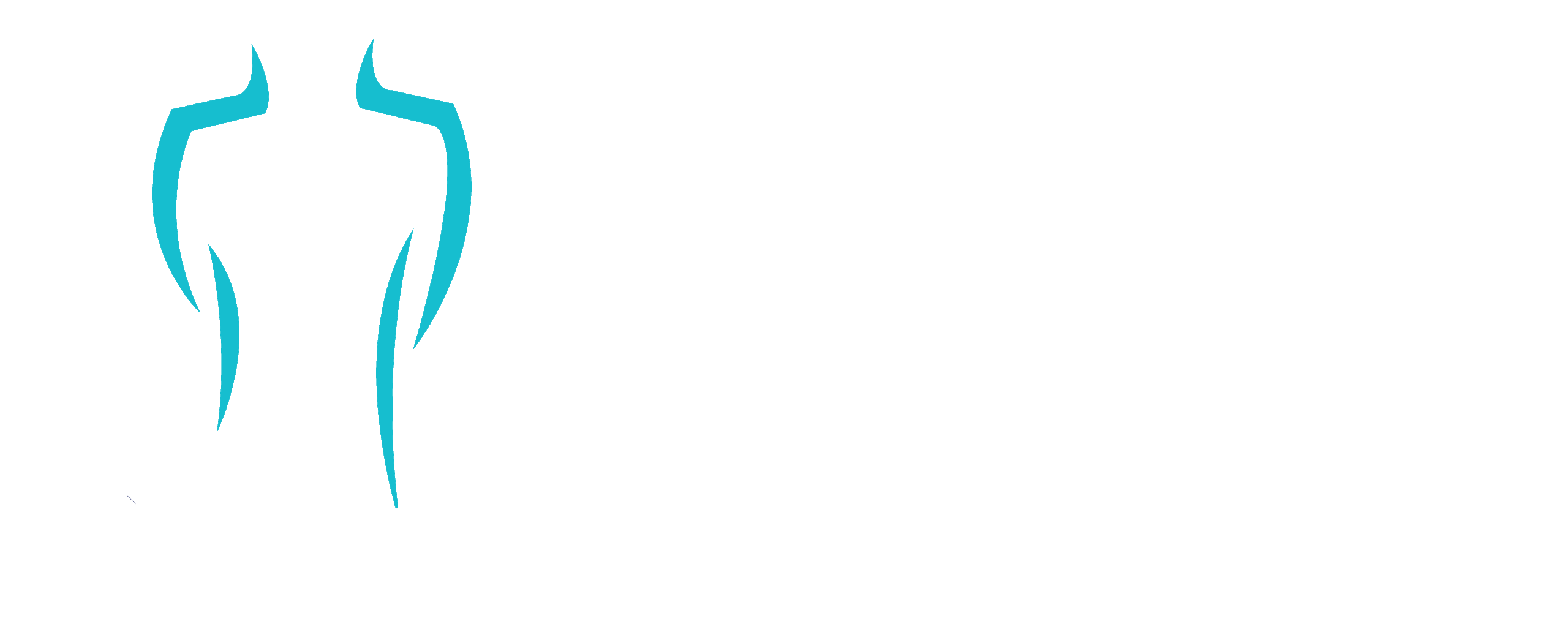Kinepraktijk Bert Simon logo